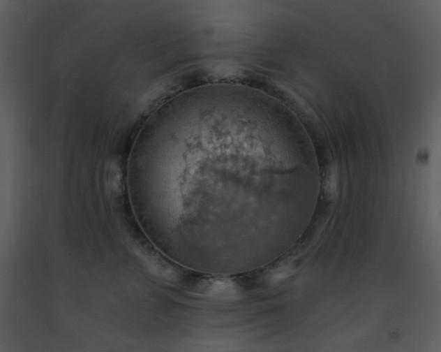 X0000093560715200710221422
