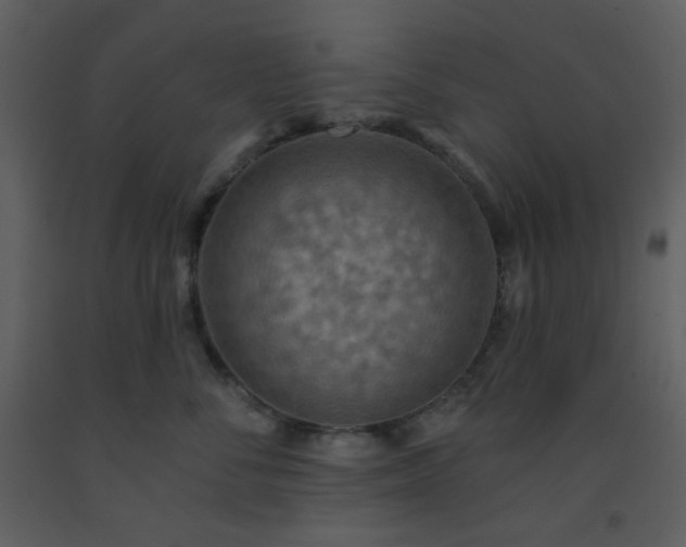 X0000093560716200710221422