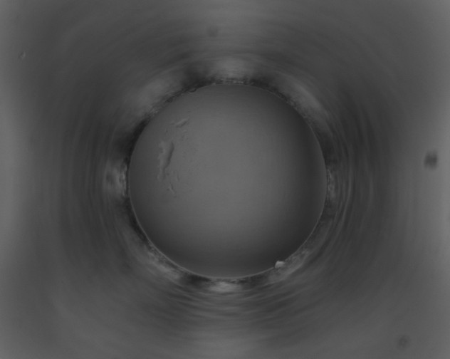 X0000093560718200710221422