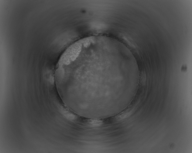 X0000093560719200710221422