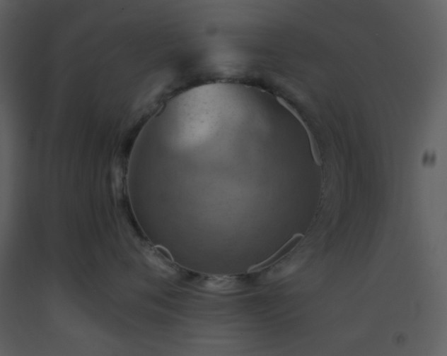 X0000093560720200710221422
