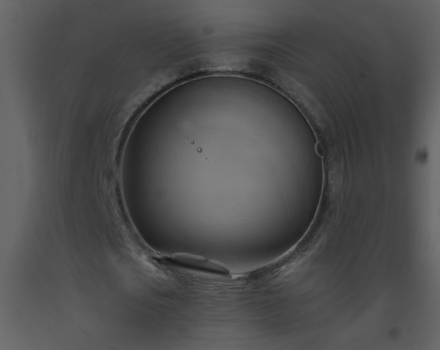 X0000093560721200710221422
