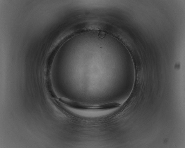 X0000093560722200710221422