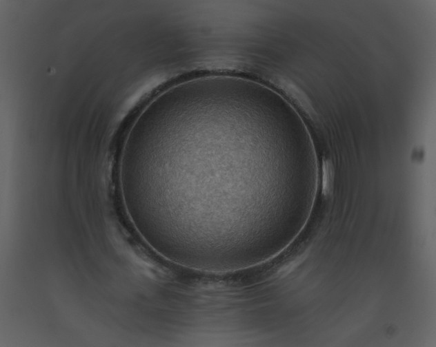 X0000093560723200710221422