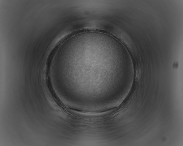 X0000093560724200710221422