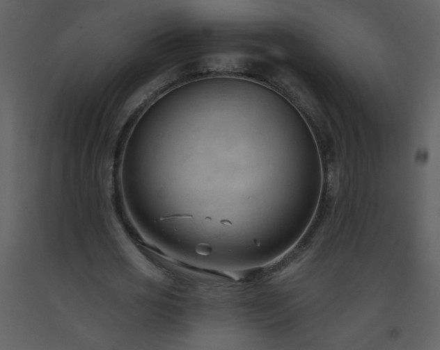 X0000093560725200710221422