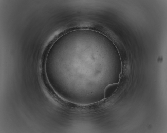 X0000093560726200710221422