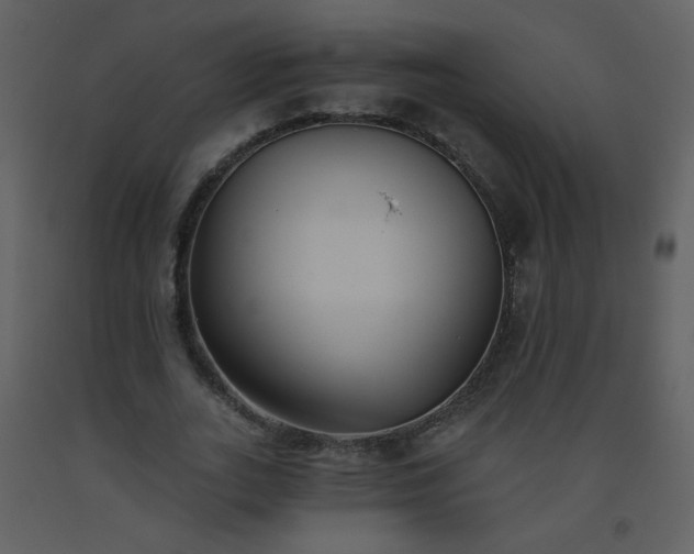 X0000093560727200710221422