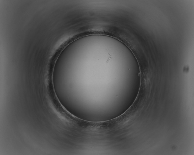 X0000093560728200710221422