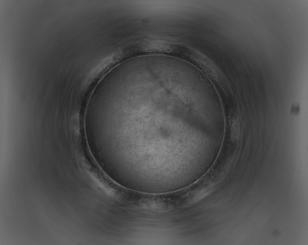 X0000093560729200710221422