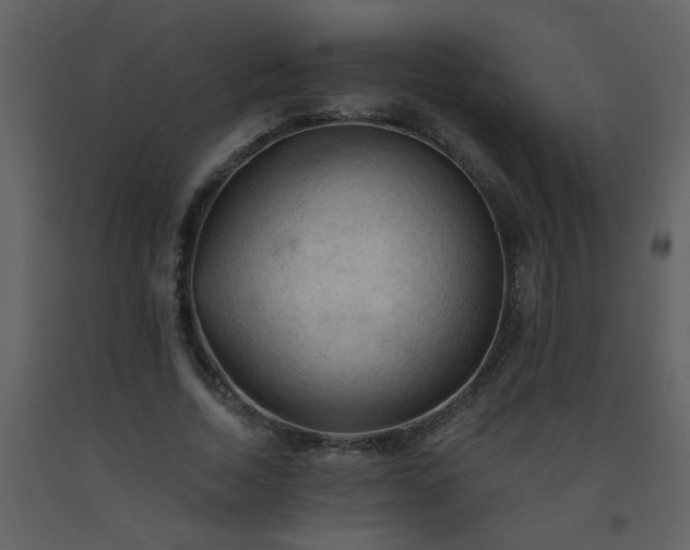 X0000093560730200710221422