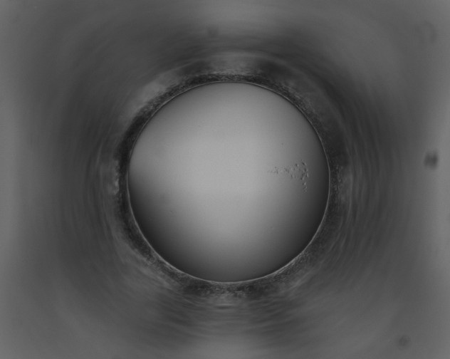 X0000093560731200710221422