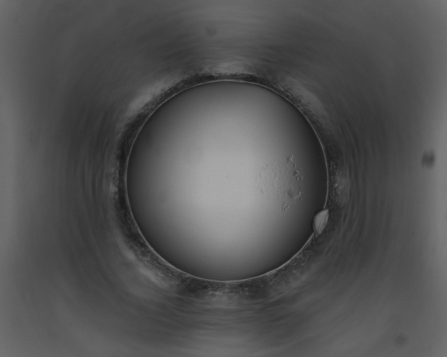 X0000093560732200710221422