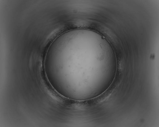 X0000093560733200710221422