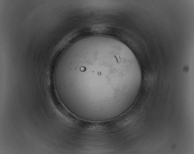 X0000093560734200710221422