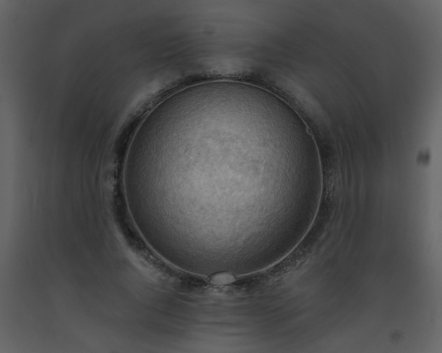 X0000093560736200710221422