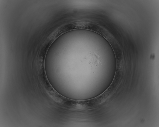 X0000093560737200710221422