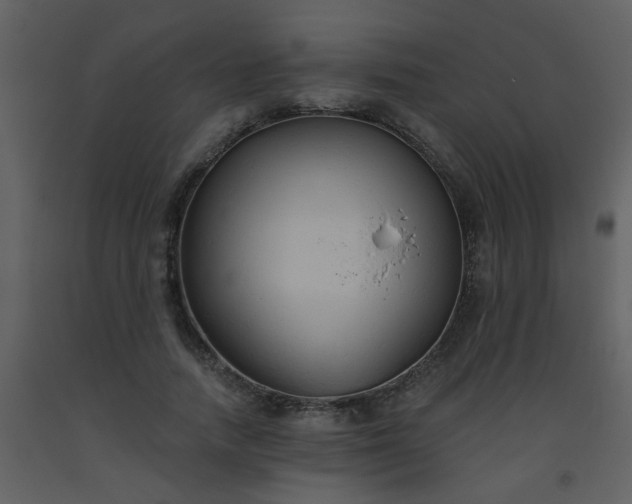 X0000093560738200710221422