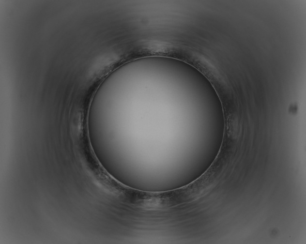 X0000093560740200710221422