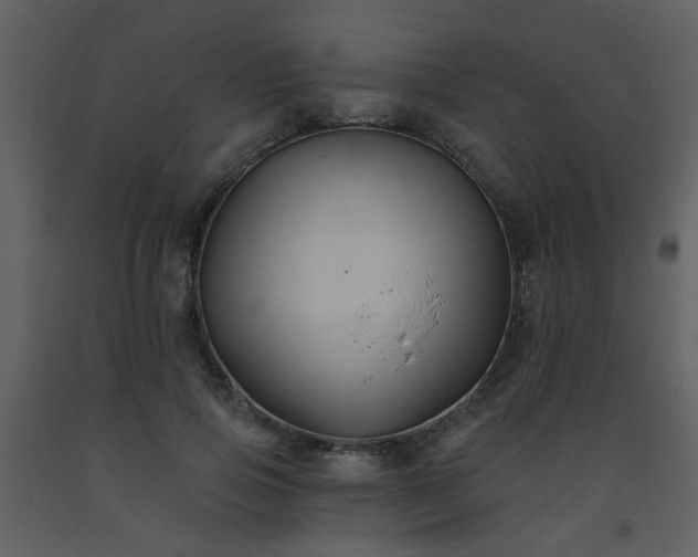 X0000093560741200710221422