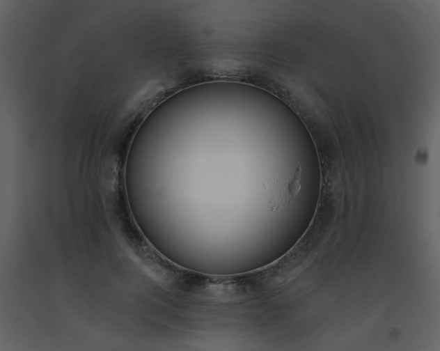 X0000093560744200710221422