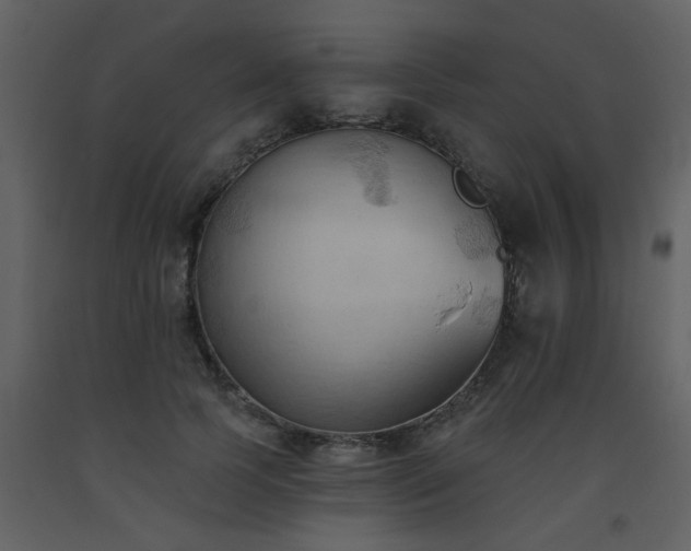 X0000093560745200710221422