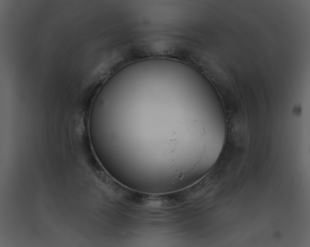 X0000093560746200710221422