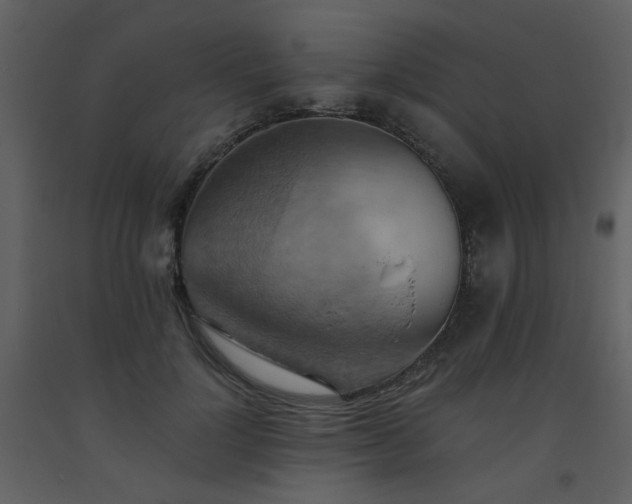 X0000093560748200710221422