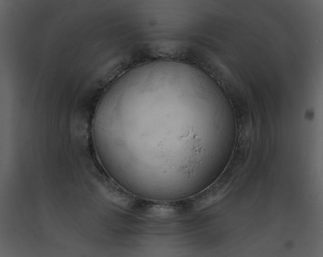 X0000093560749200710221422