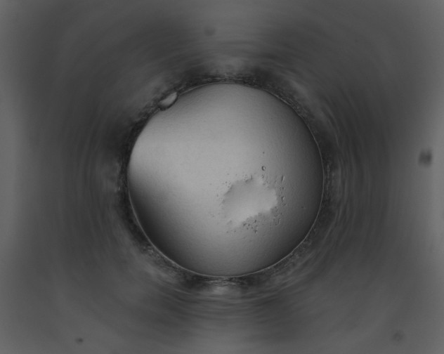 X0000093560750200710221422