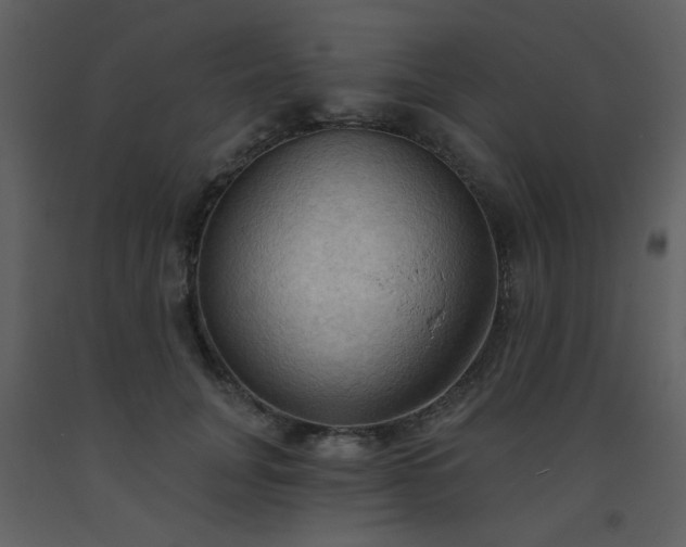 X0000093560751200710221422