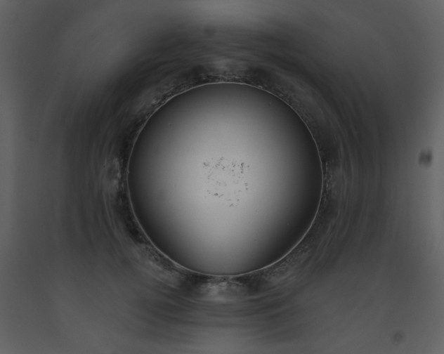 X0000093560752200710221422