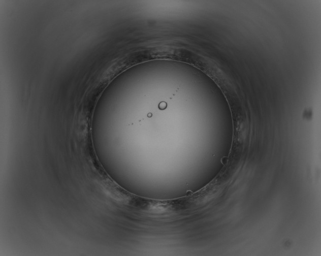 X0000093560753200710221422