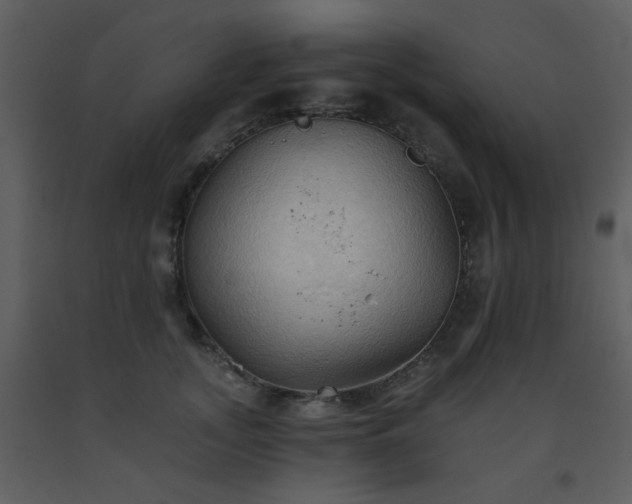 X0000093560755200710221422