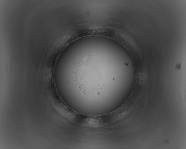 X0000093560756200710221422