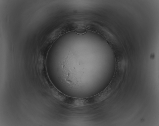 X0000093560757200710221422