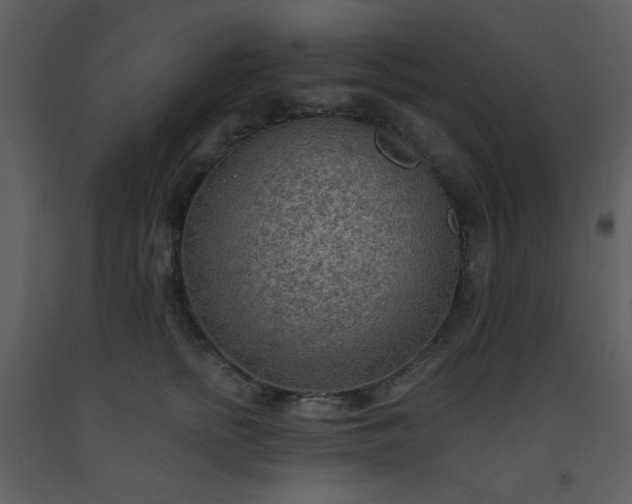 X0000093560758200710221422