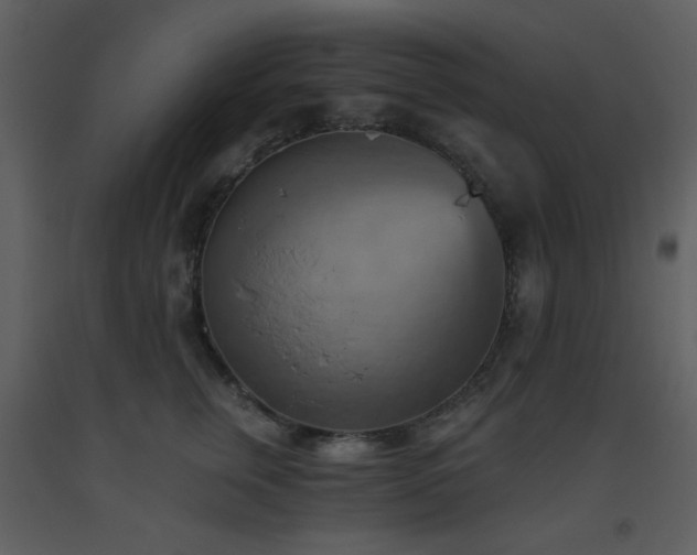 X0000093560759200710221422