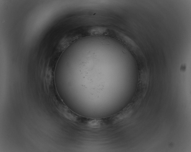 X0000093560761200710221422
