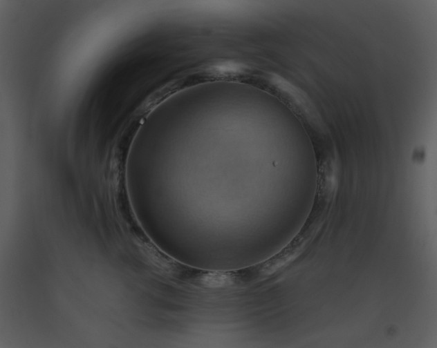 X0000093560762200710221422