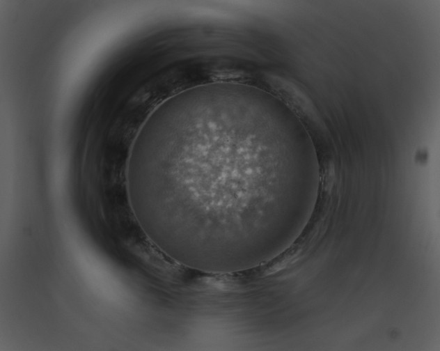 X0000093560763200710221422
