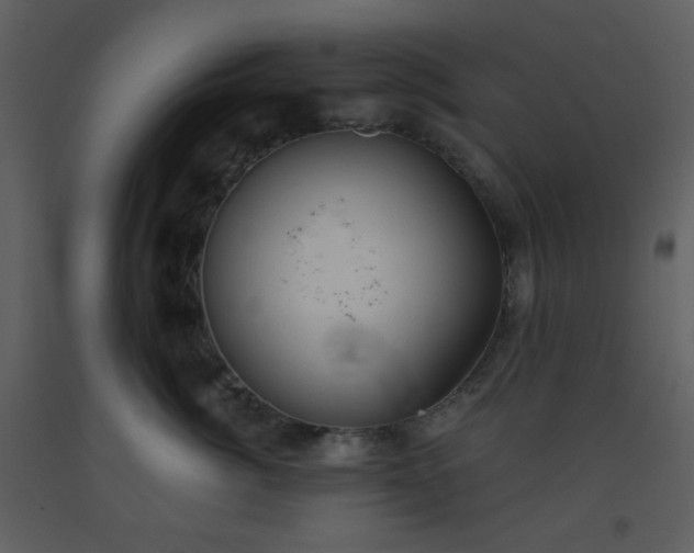 X0000093560764200710221422