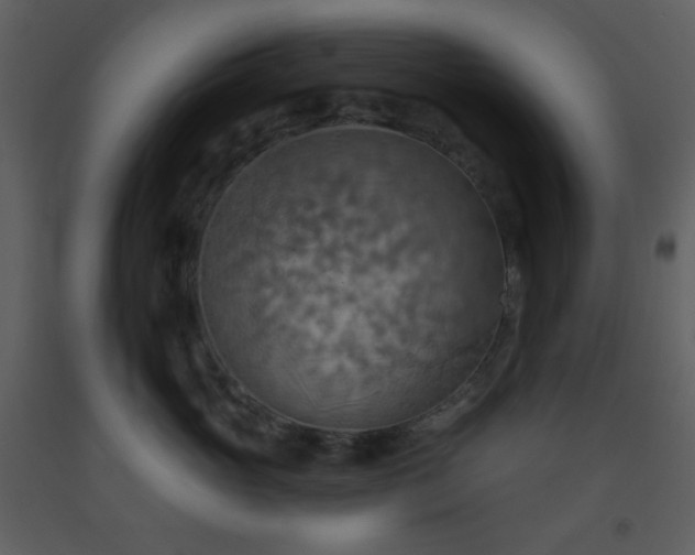 X0000093560765200710221422