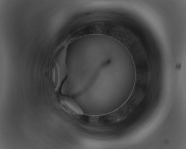 X0000093560766200710221422