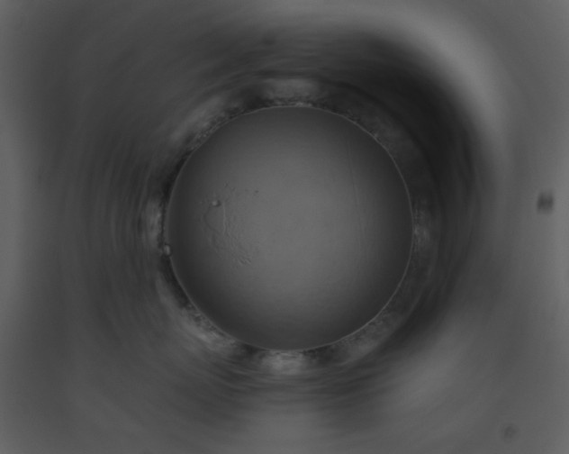 X0000093560767200710221422