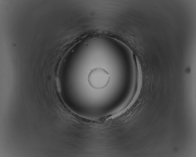 X0000093560769200710221422