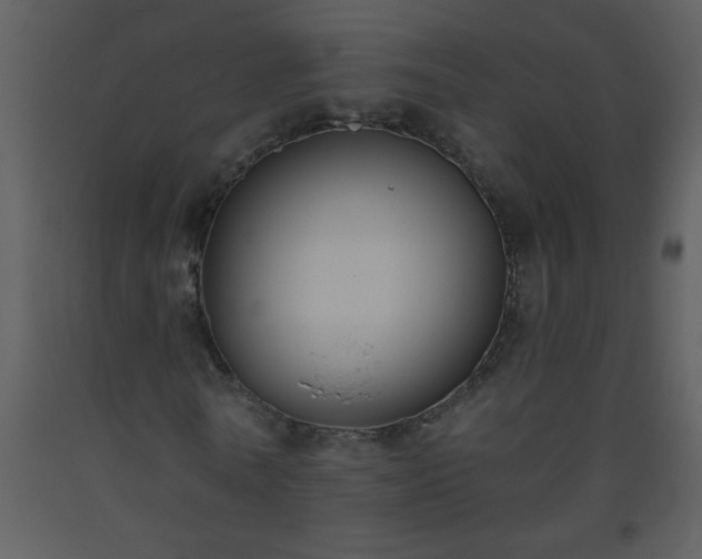 X0000093560770200710221422