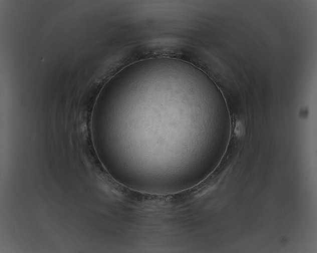 X0000093560771200710221422