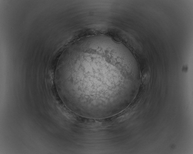 X0000093560772200710221422