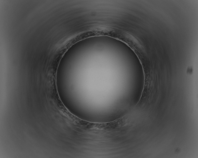 X0000093560773200710221422